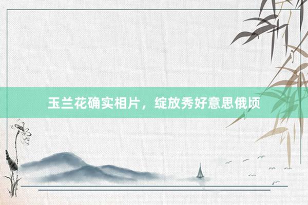 玉兰花确实相片，绽放秀好意思俄顷