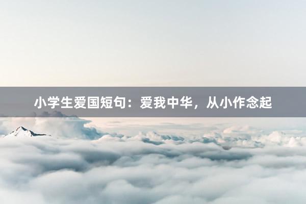 小学生爱国短句：爱我中华，从小作念起